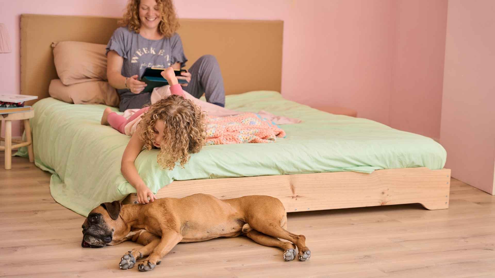 Perro no puede dormir en la cama
